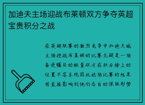 加迪夫主场迎战布莱顿双方争夺英超宝贵积分之战